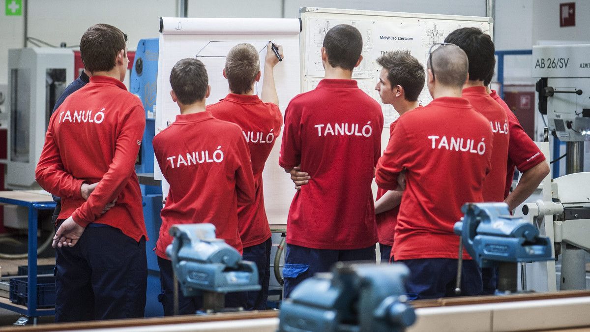 Technikum vagy szakképző?